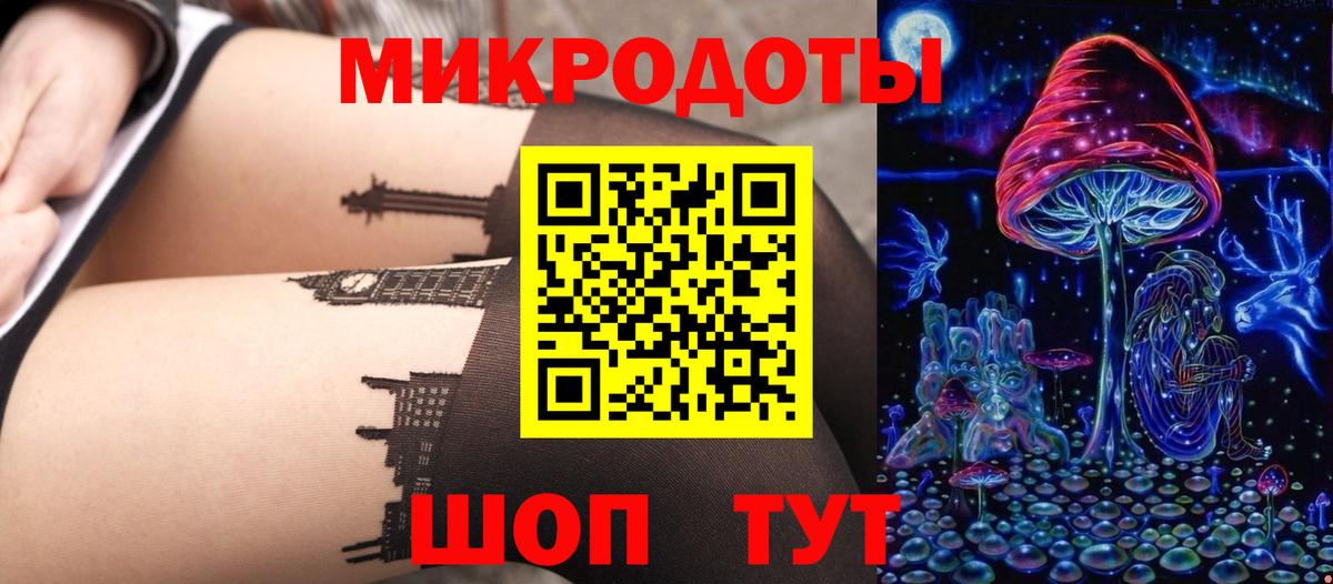 Галлюциногенные грибы Magic Shrooms  Вход с VPN  где можно купить наркотик  Галлюциногенные грибы Cubensis  Елизово 
